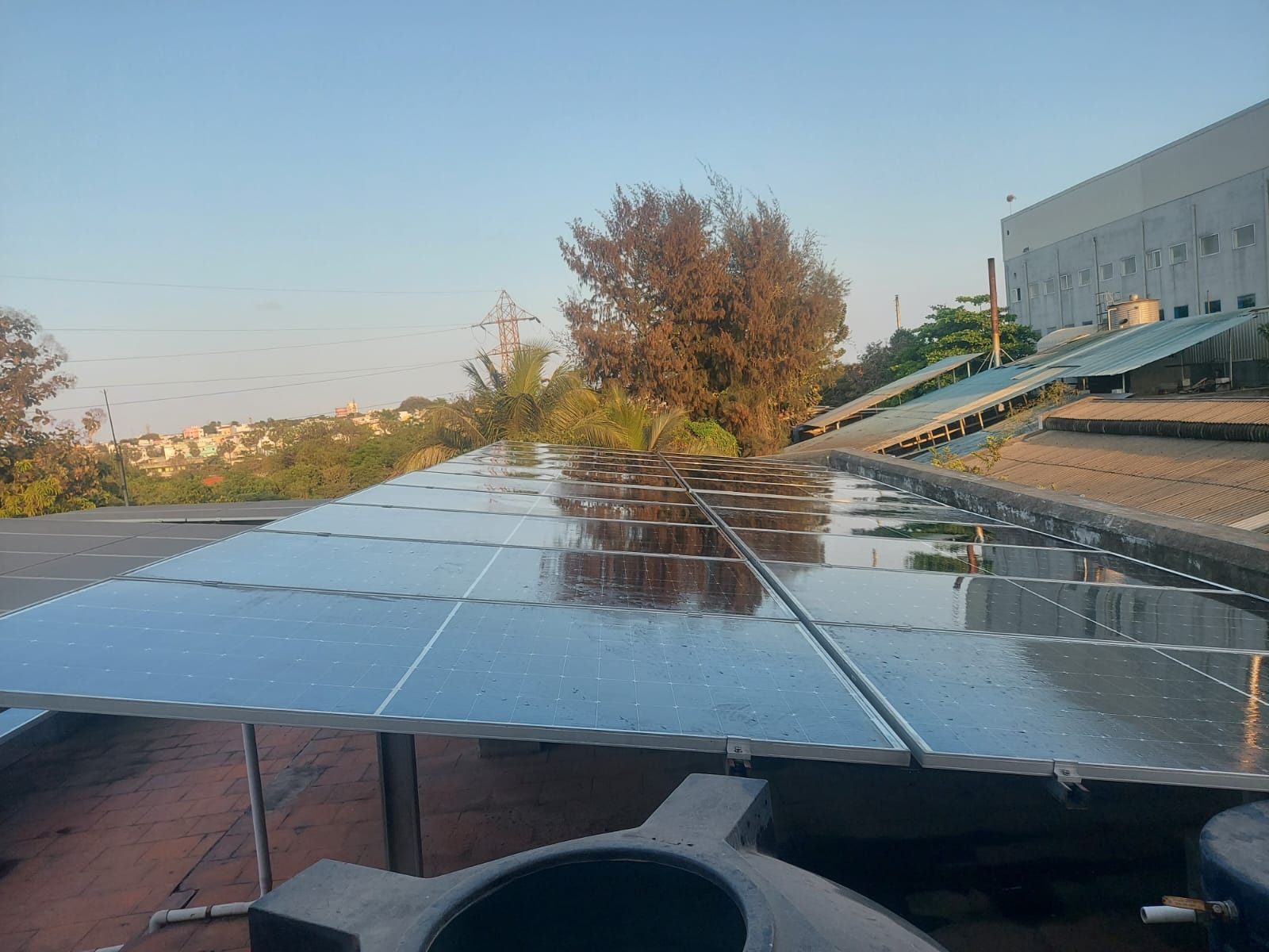 Life at Rewatt Energy
